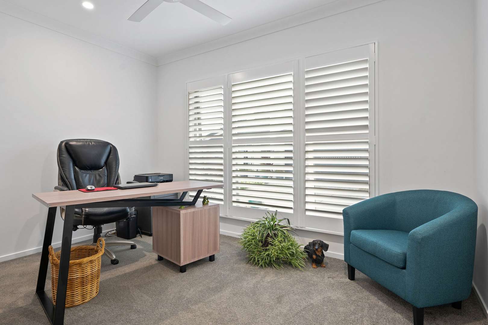 Fontein by Palm Lake Resort