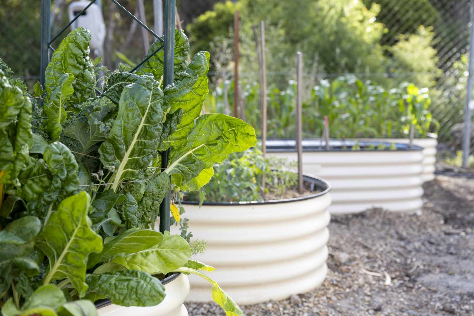 Walnut Grove Estate - Old Reynella 