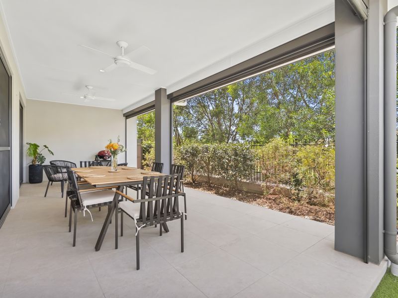 Site 19 - Established Monteverde