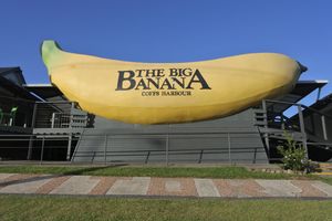More than just the Big Banana