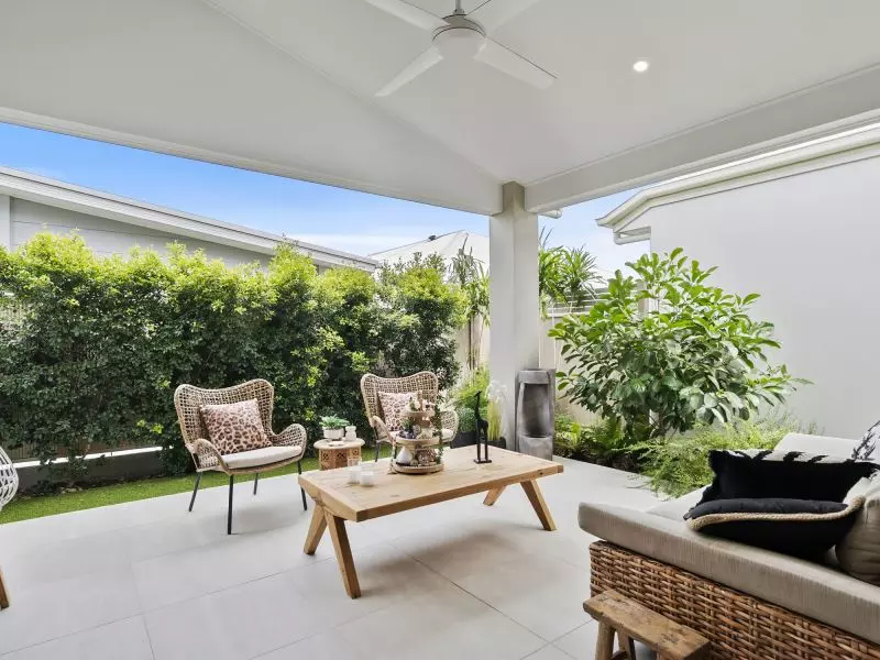 Site 299 - Established Sequoia