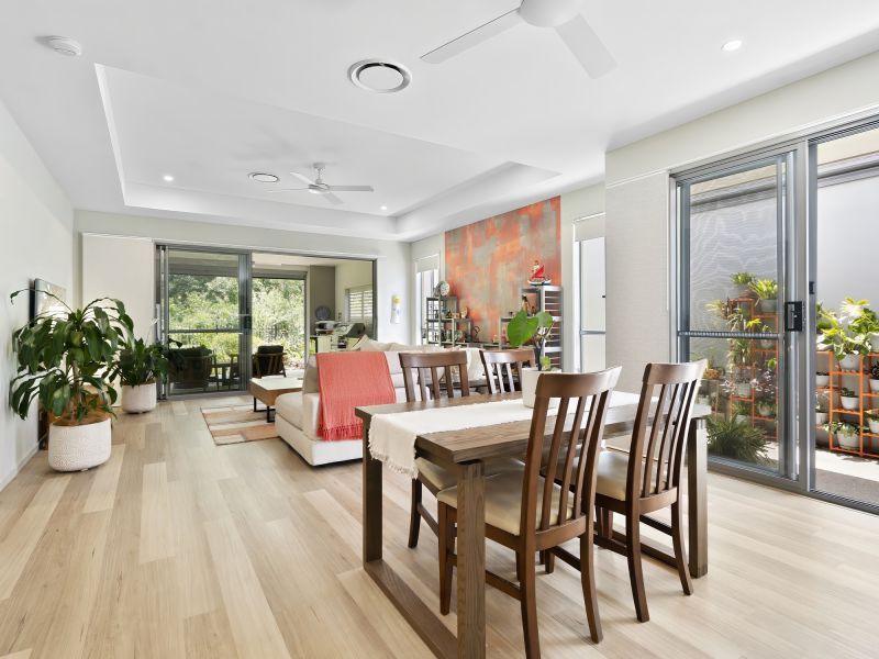 Site 191 - Established Monteverde