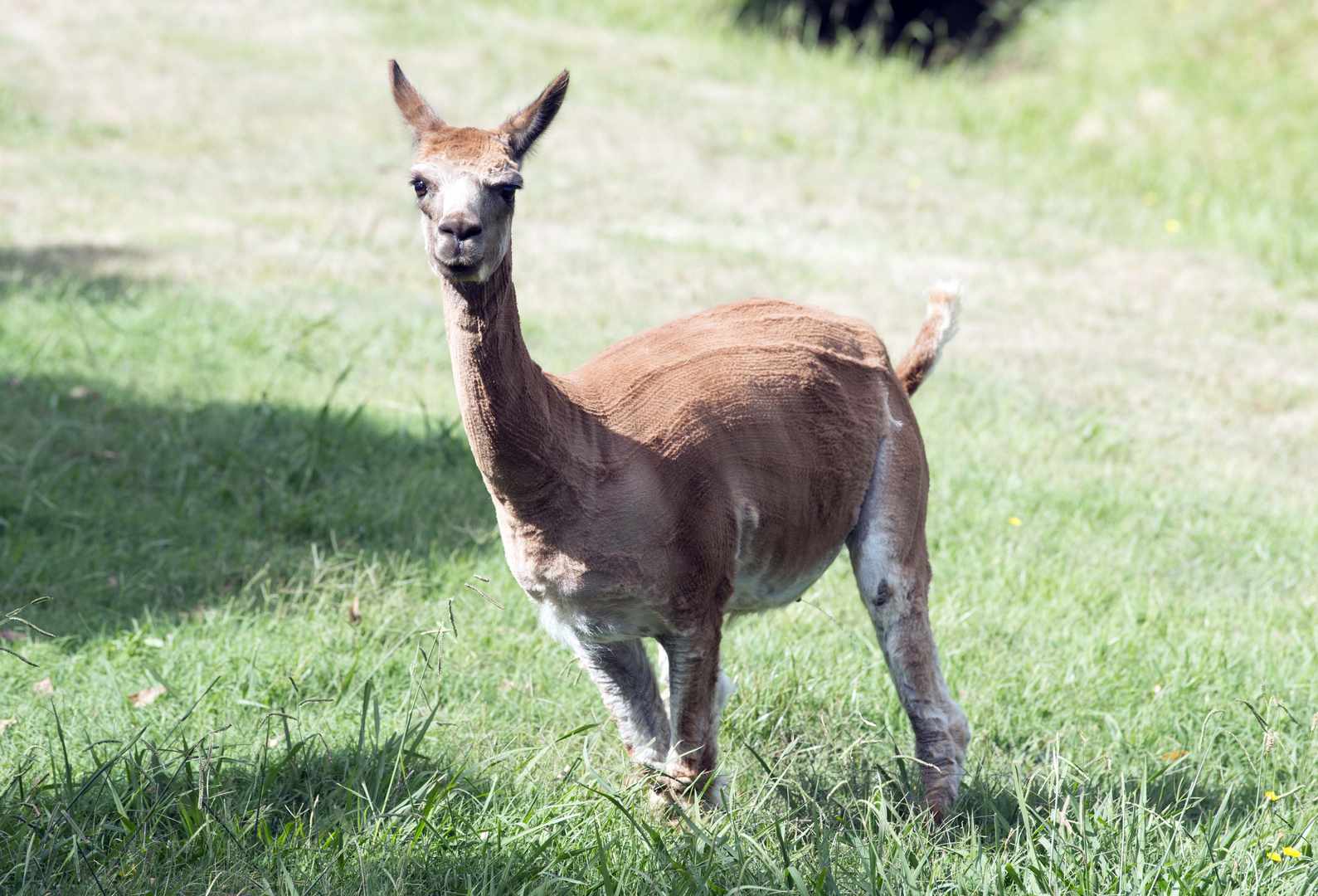 Lifestyle Warragul - Timeless country meets cosmopolitan living.