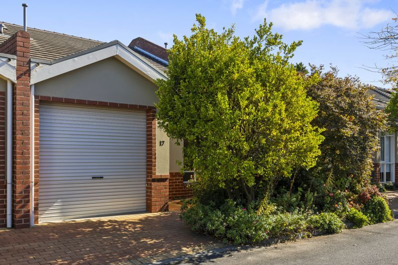 Spacious Living, Sunny Courtyard
