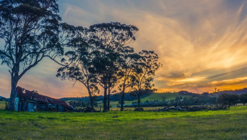 Hunter Valley