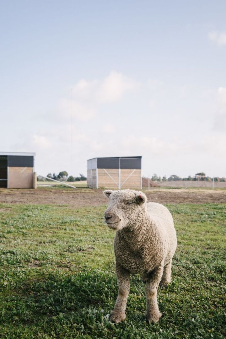 Lifestyle Communities Bellarine - Spacious corner gem opposite parkland