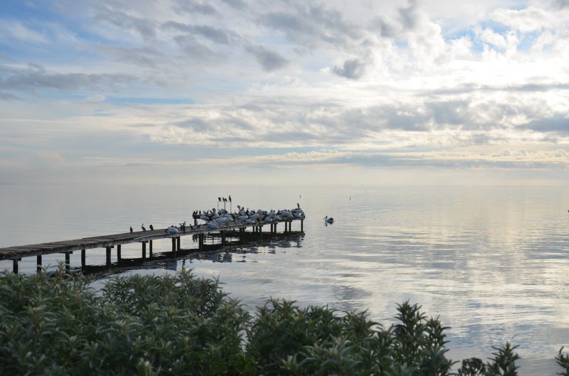 Duplex coming to site 120 at Pelican Shores