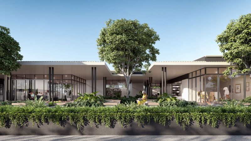 Site 258 - Established Kondalilla