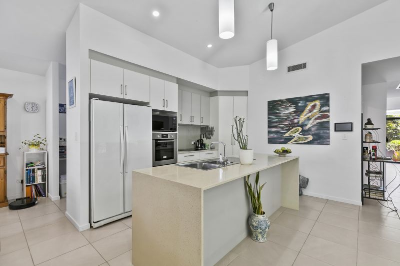 Stunning Rainforest Backdrop