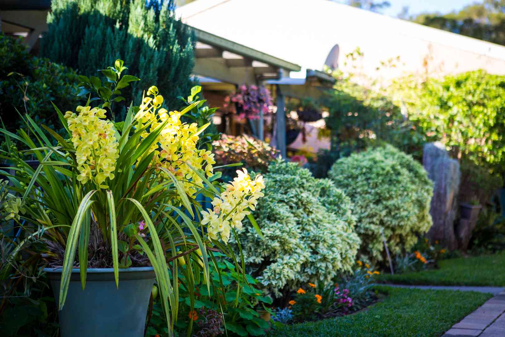 Windsor Country Village - More than just a home, it’s a community