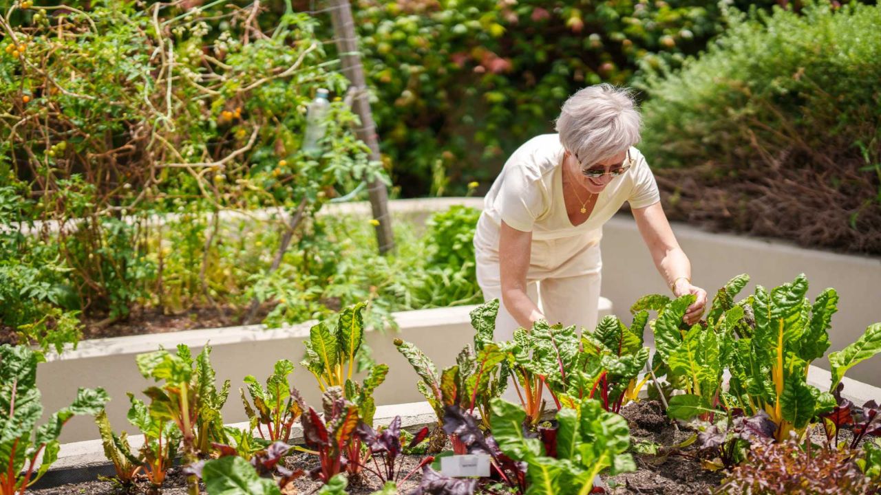 2 Bedroom (North-Facing) Apartment | Levande Cardinal Freeman