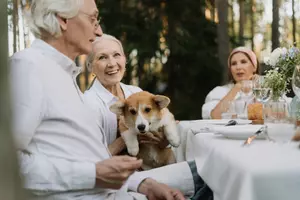 Is taking pets to a retirement village a good idea?