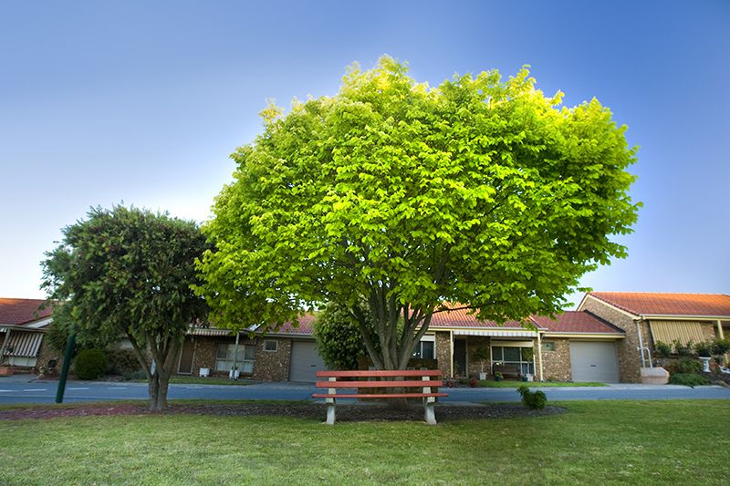 Experience a relaxed lifestyle in a welcoming, close-knit and vibrant community