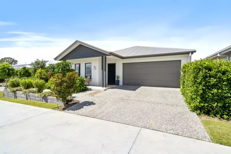 Site 223 - Established Beechmont