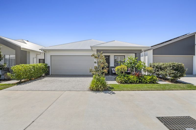 Site 151 - Established Kalbar