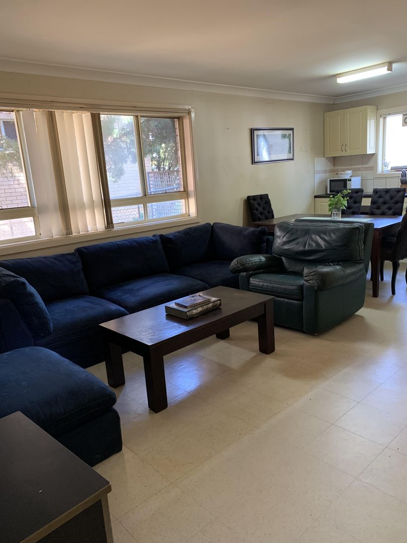 Room Available for a Senior Flatmate 