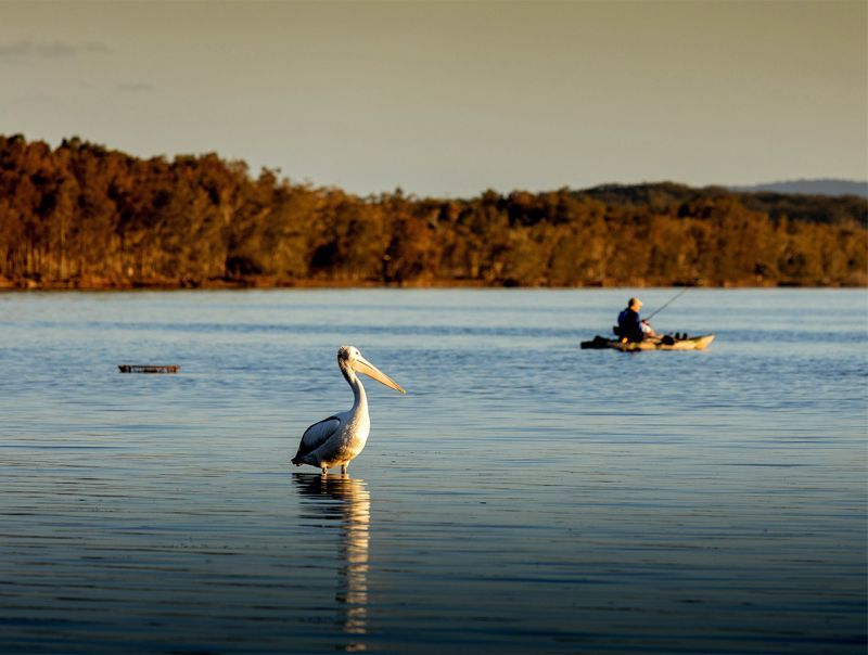 Lakeside Forster Village: The Cascade