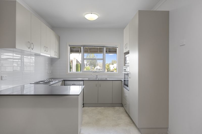 Blank Canvas – Endless Potential!