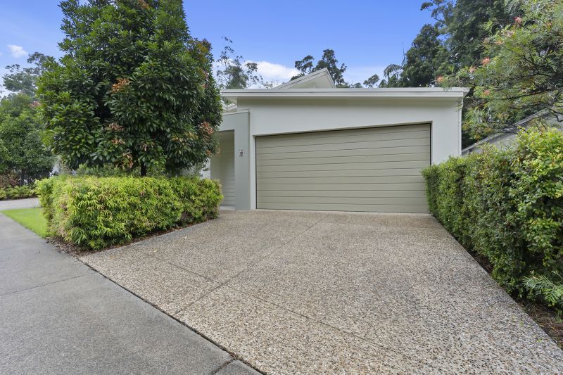 Stunning Rainforest Outlook