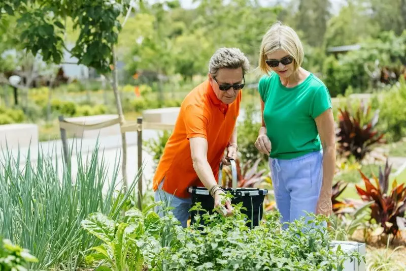 The Grandview - Enquire today for future releases