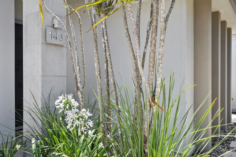 Site 143 - Established Ninderry