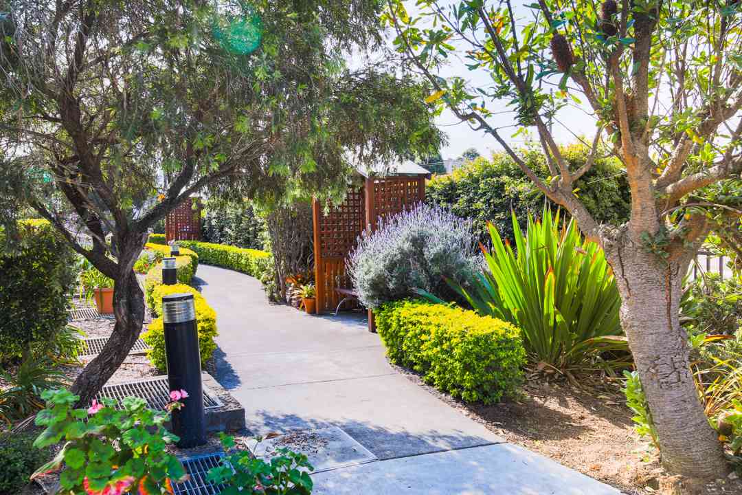 Mary Andrews Village 