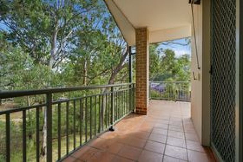 Bush views