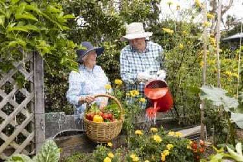 Apt 53 – Oversized, north facing, close to parking