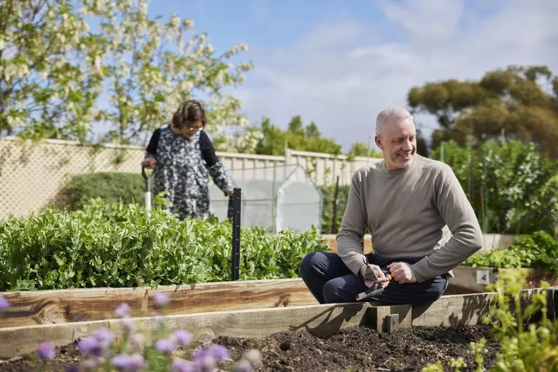 Northern Light, Modern Living