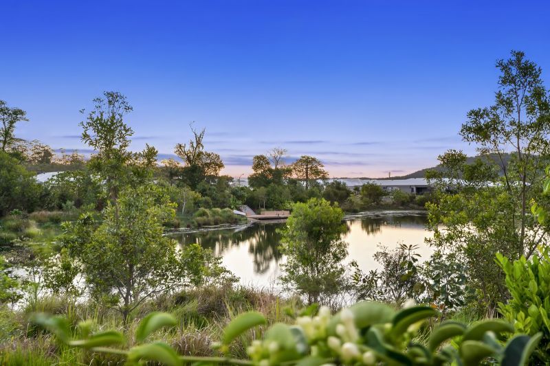 Site 261 - Established Kondalilla