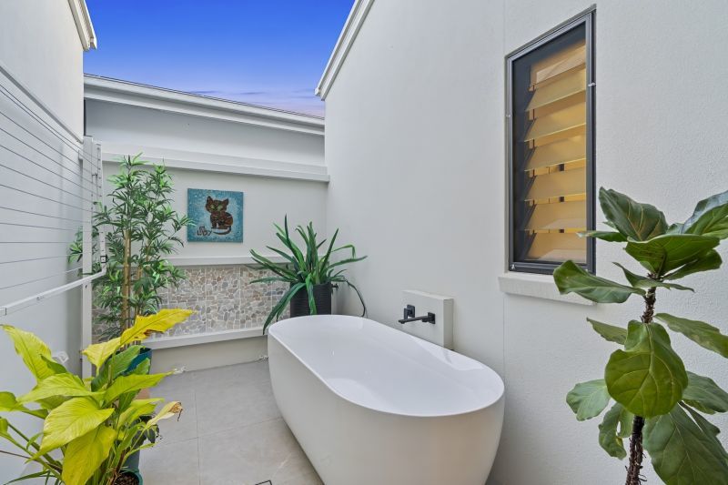 Site 261 - Established Kondalilla