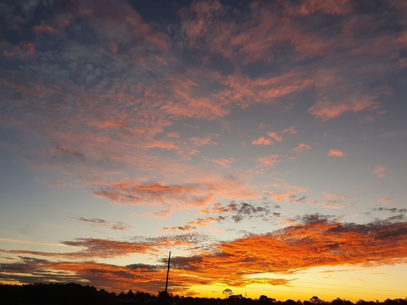 Site 176 - Established Kalbar