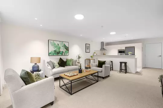 North Facing Dream | One-bedroom Apartment