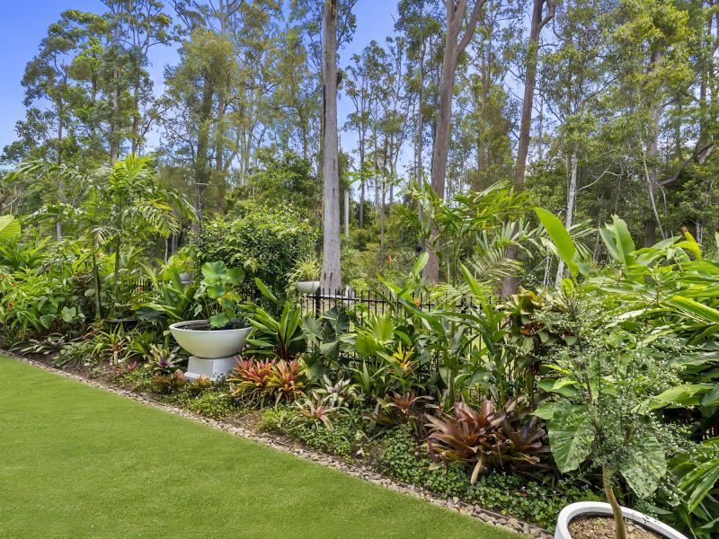 Site 187 - Established Monteverde