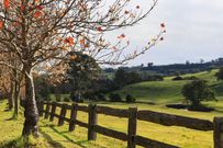 Southern Highlands of NSW