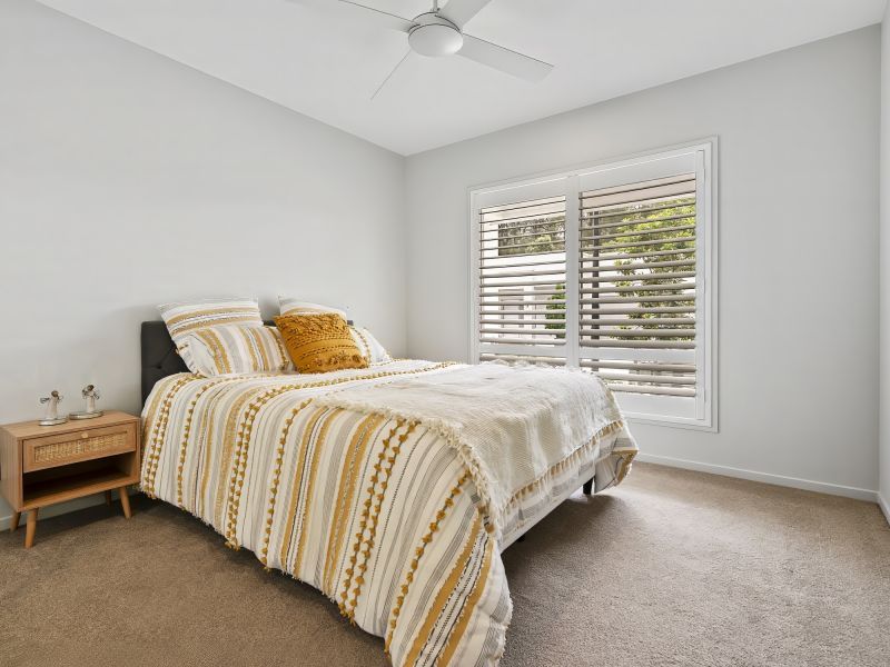 Site 299 - Established Sequoia