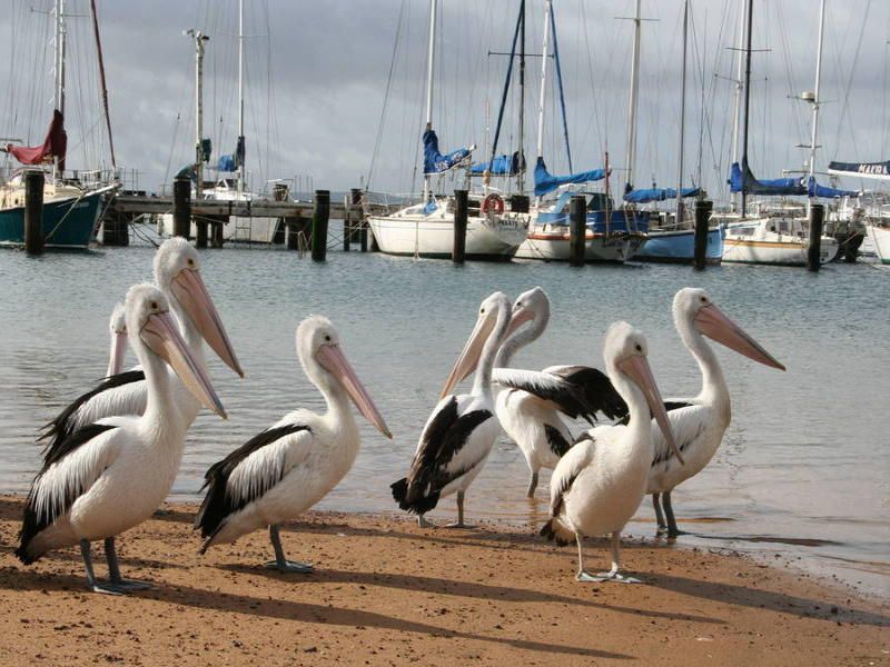 Peninsula Parklands - Site 27