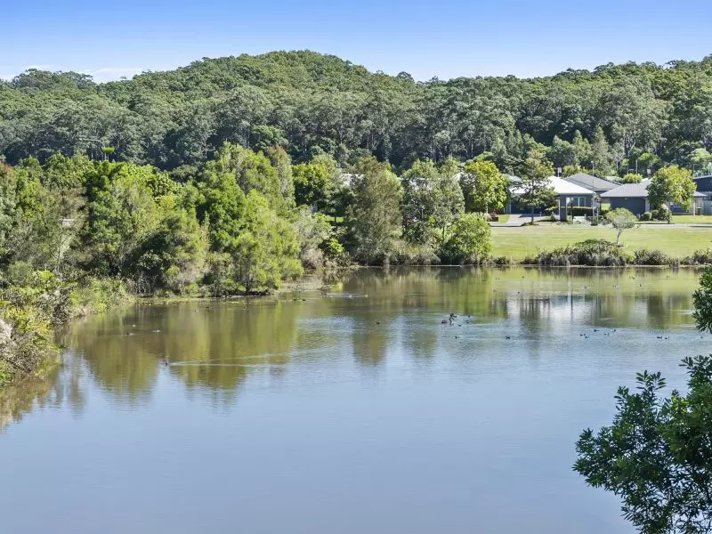 Site 141 - Established Grand Kestrel