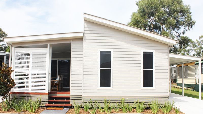 Astelia will steal your heart 