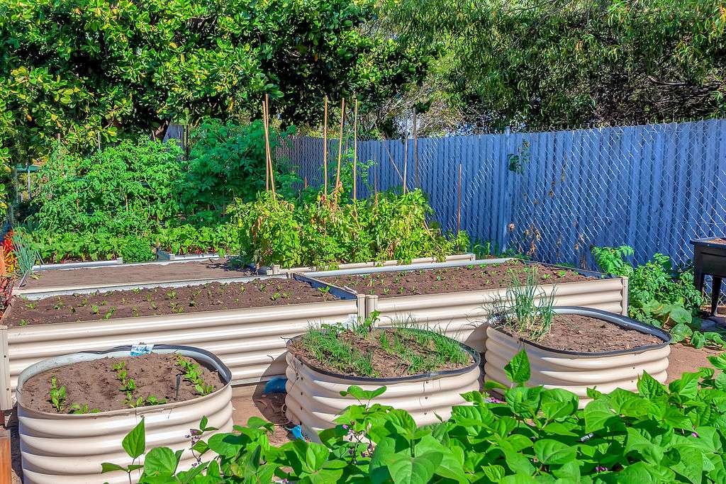 Bolton Clarke Rowes Bay