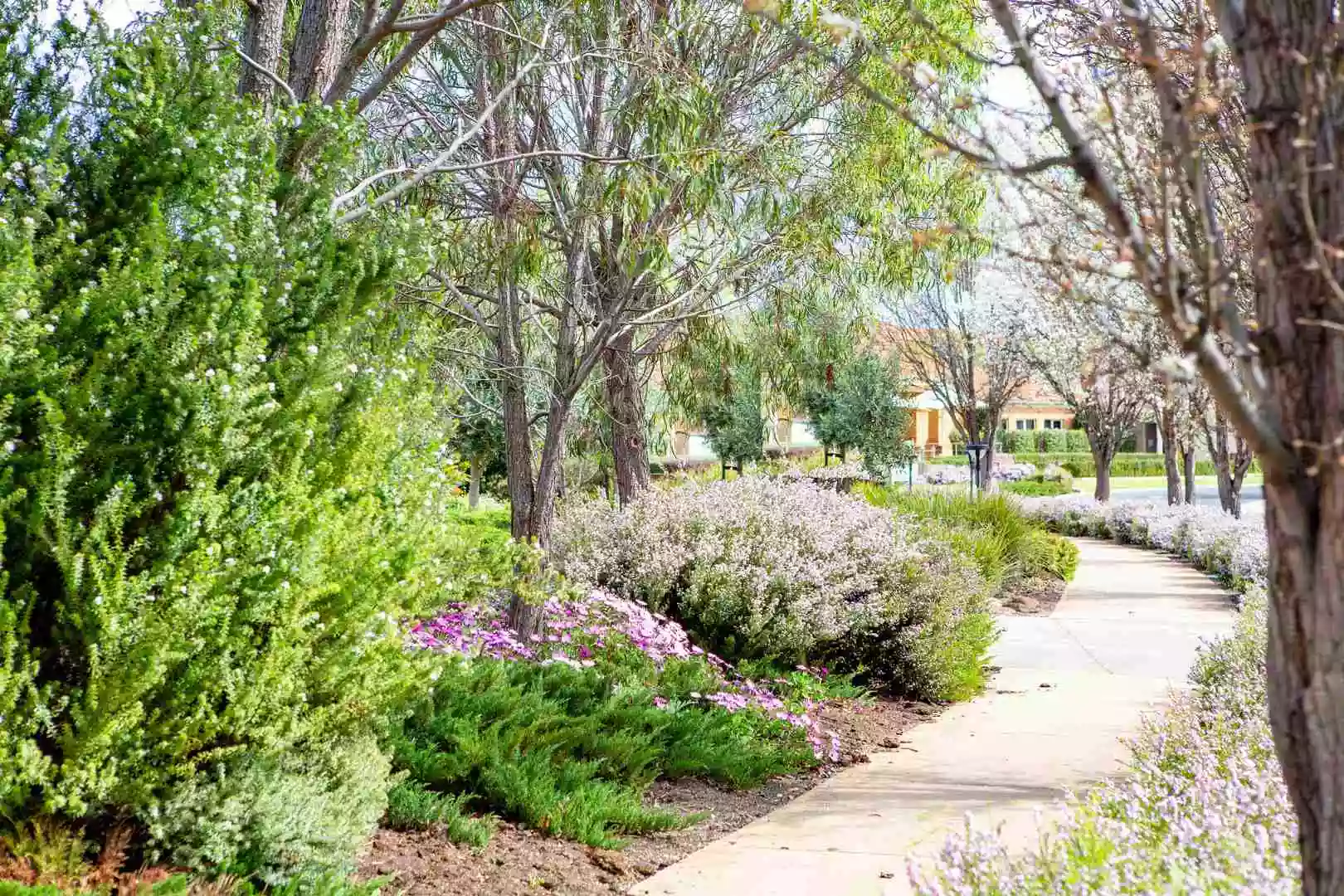 Spacious 2 Bedroom Brick Villas at Burnside!