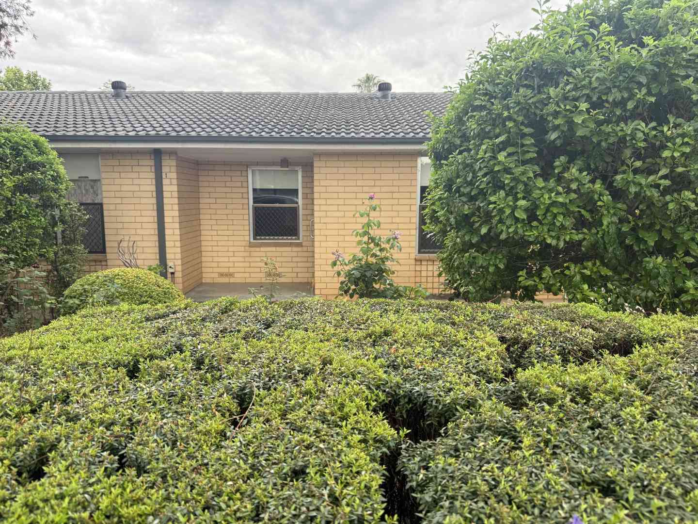  1/108 Cross Road, Highgate