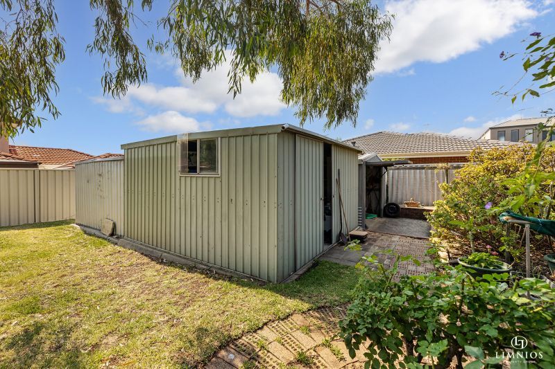 Explore your options!