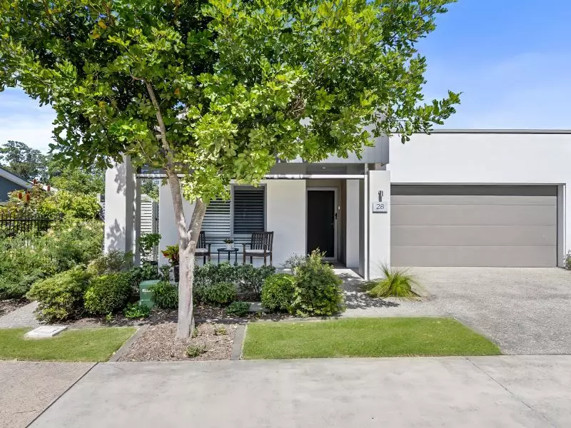 Site 28 - Established Sequoia