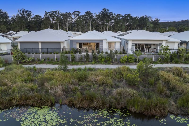 Site 258 - Established Kondalilla