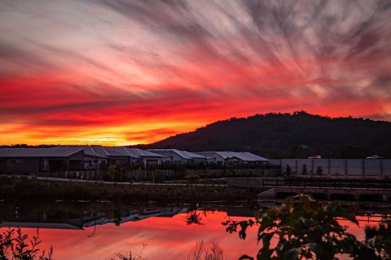 Site 212 - Established Gondwana