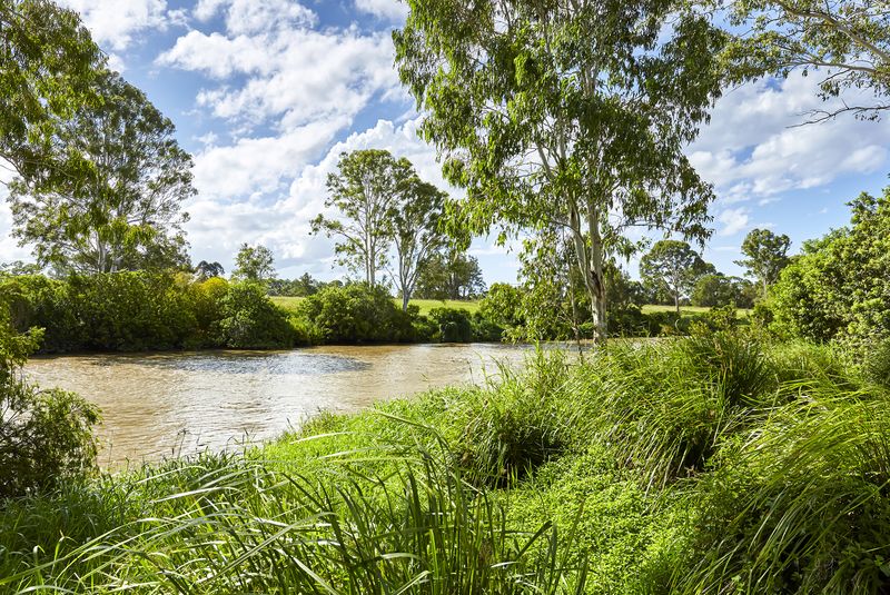 Golden opportunity to downsize with the Golden Grevillea