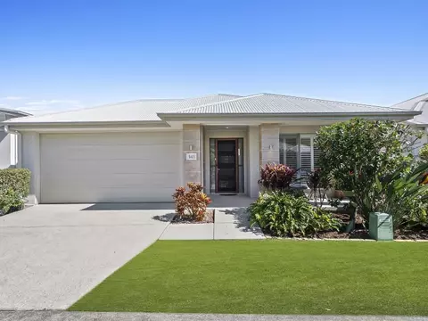 Site 141 - Established Grand Kestrel