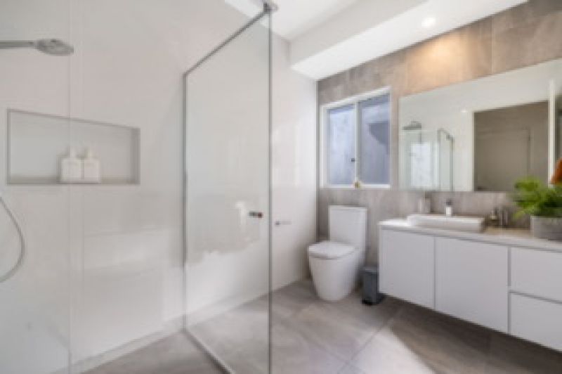 Site 262 - Established Sequoia