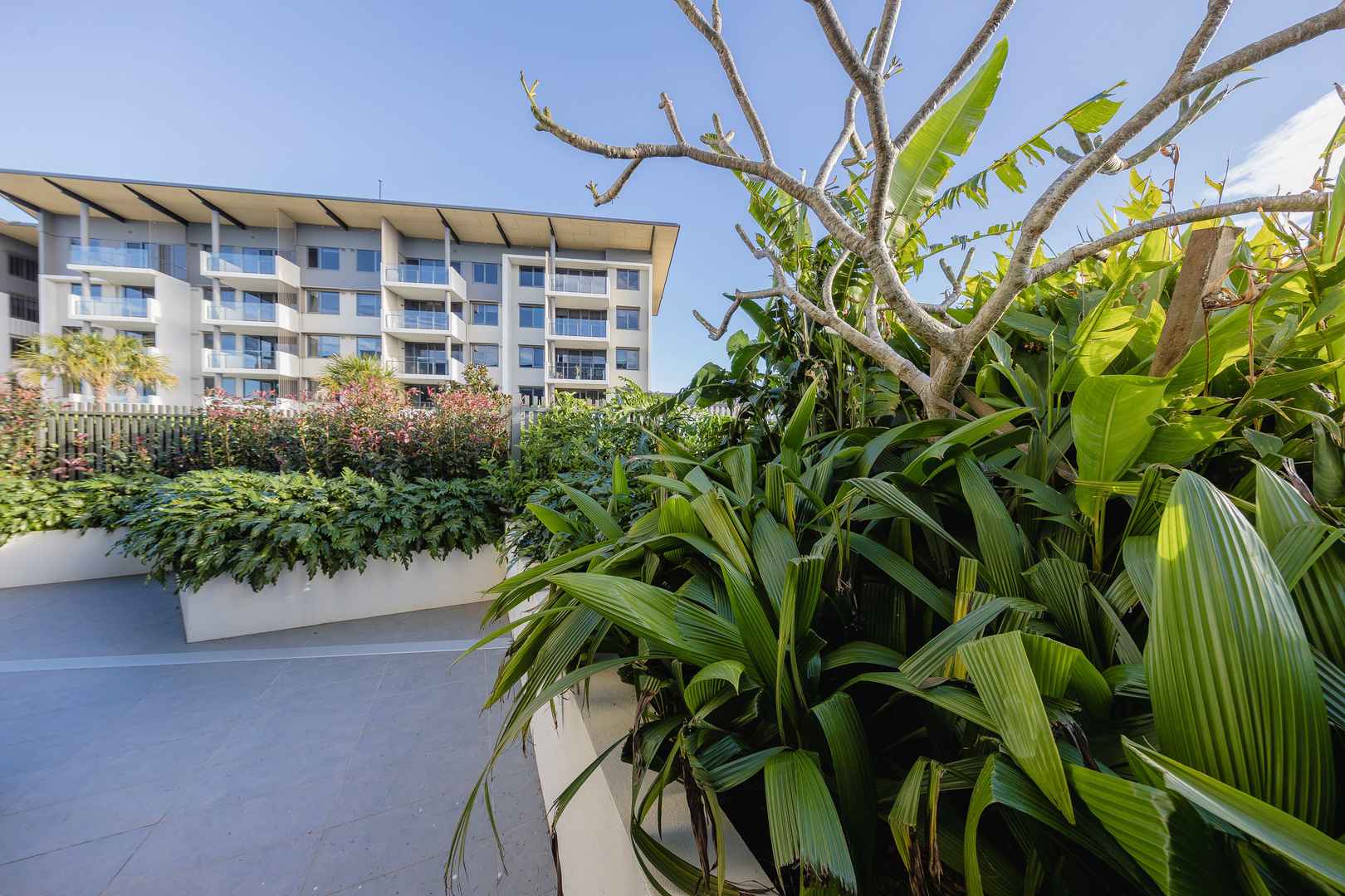 Three Bedroom | Villa 1102
